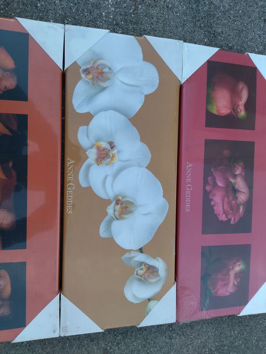 Conjunto de telas Anne Geddes