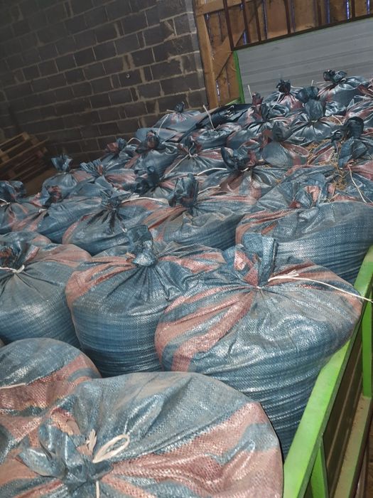 Sprzedam owies rok 2025.  Jęczmień ozimy po kwalifikacie 6 rzędowy