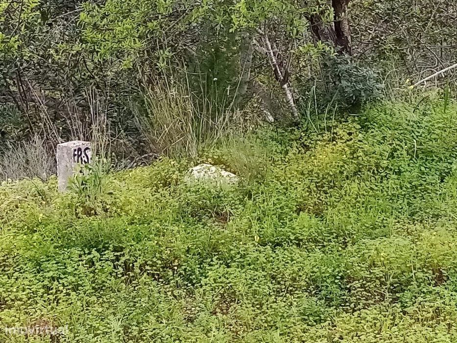 Terreno Rustico com 1394 m2, Loulé, Algarve