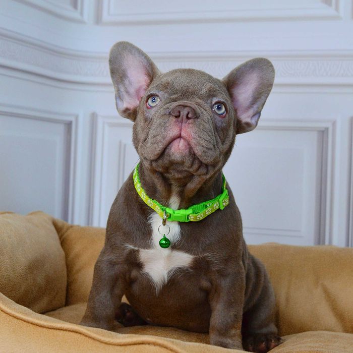 Неймовірні хлопчики у пошуках люблячих родин!!!