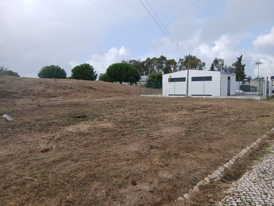 Limpeza e Manutenção de Terrenos e Jardins