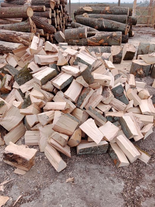 Drewno kominkowe