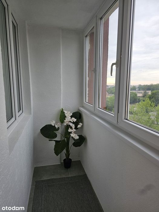 3 pokoje, blisko centrum, po remoncie, bezpośrednio