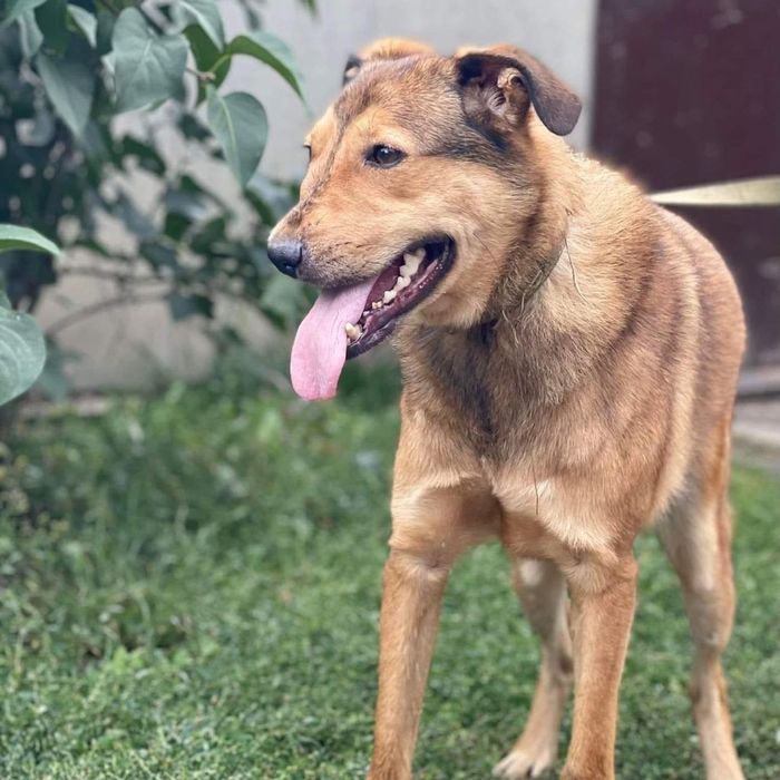 Шанс в поиске семьи