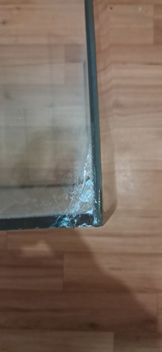 Аквариум-террариум бу