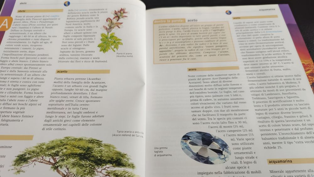 Encyclopedia "La Terra" Rizzoli junior w jezyku wloskim