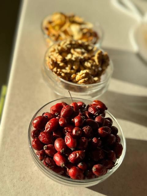 Шипшина суха, 2025