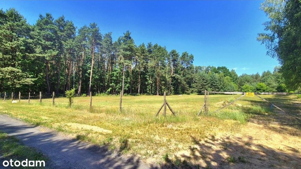 Działka z WZ 1250 m² | Woda | Prąd | Światłowód | Rakówiec