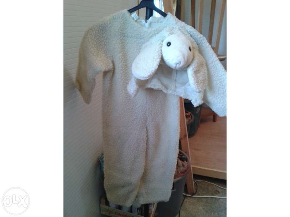 Roupas de carnaval