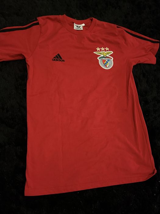 Fato treino Manga Curta Benfica e camisola manga comprida de treino