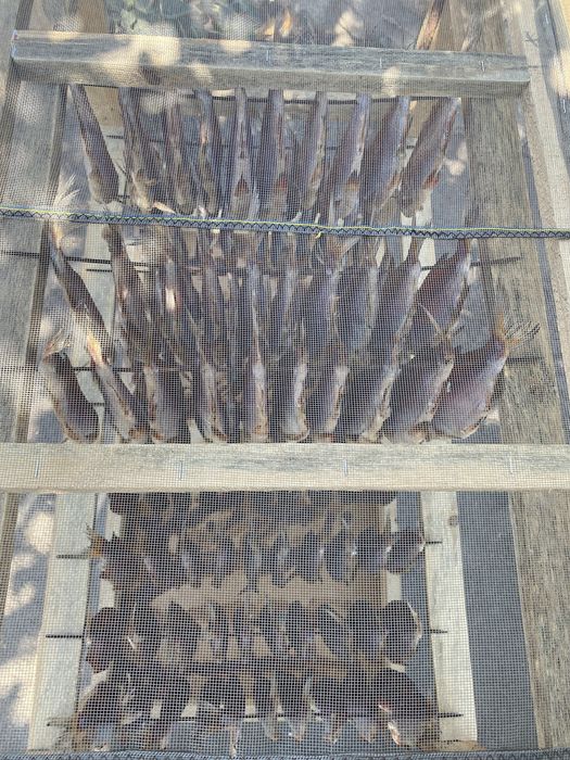 Ікряна тарань плотва сушена в’ялена