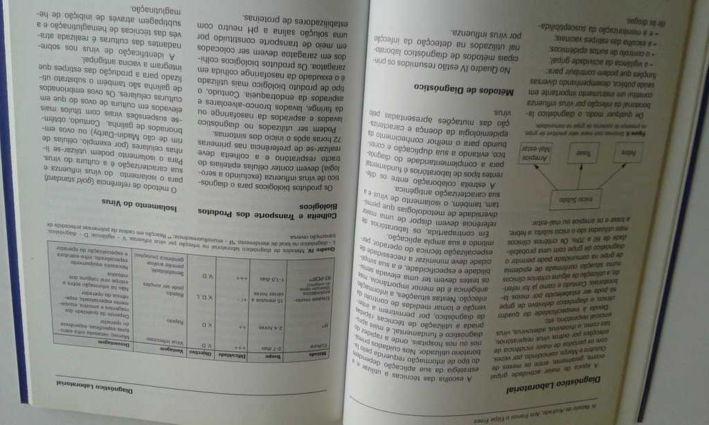 BD Capitão América / Guia Gripe