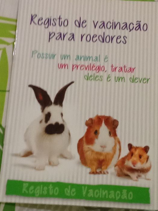 Bellier Mini Lop