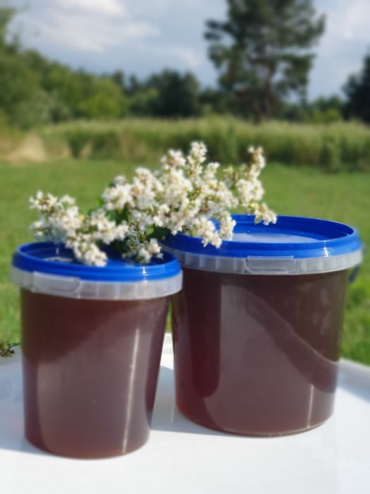 Мед гречка + ліс