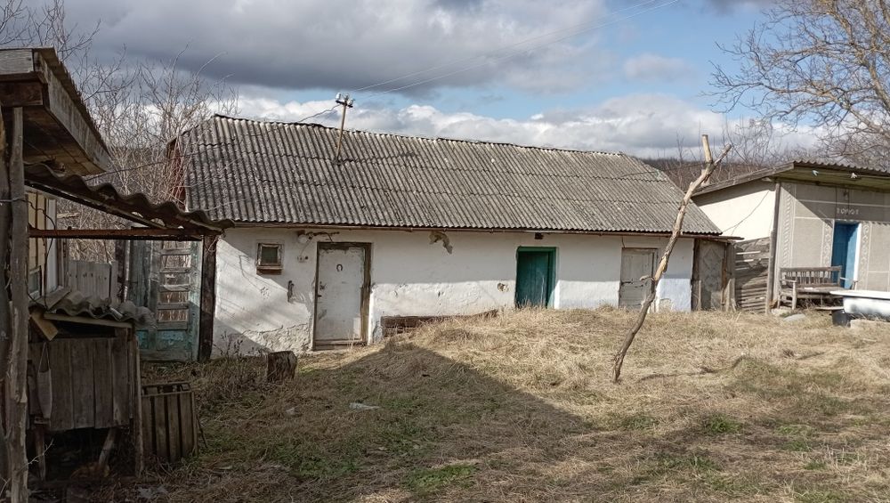 Будинок біля лісу