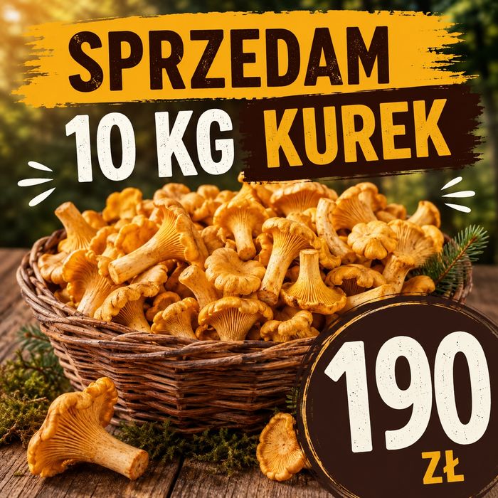 Sprzedam 10 kg kurek