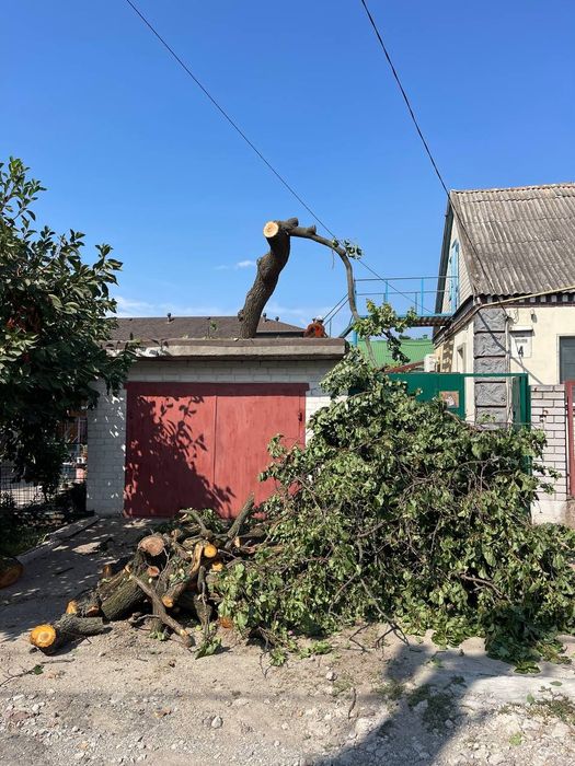 Спил деревьев Бесплатный вывоз