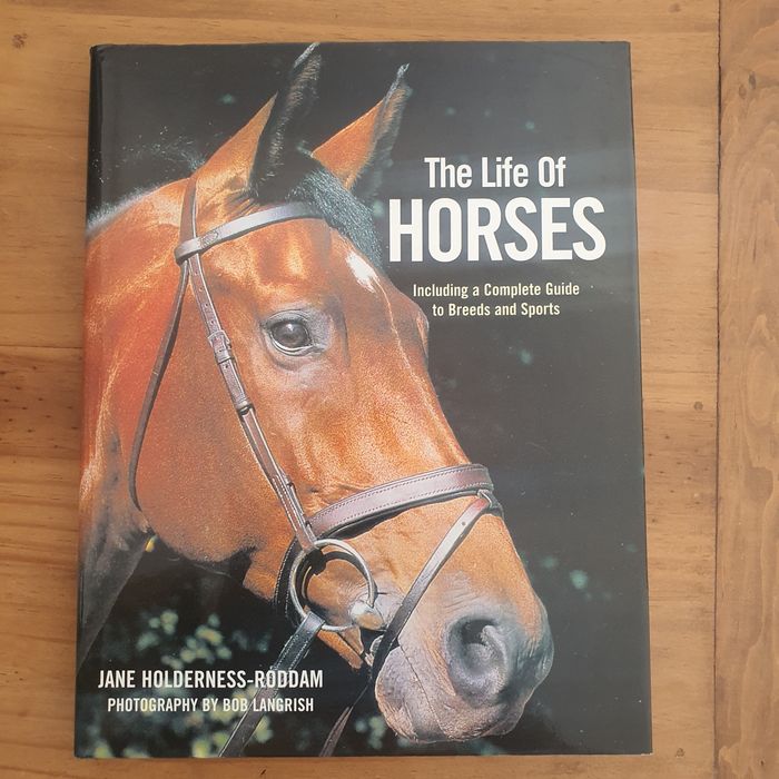 Material Equestre Diverso