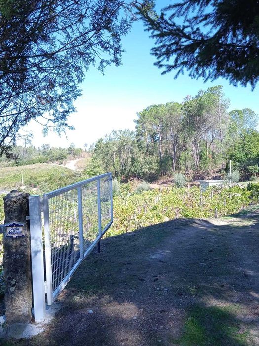 Vende-se quinta em Tibaldinho