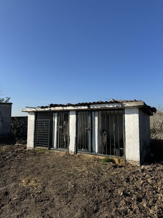 Оренда ферма/комерційна нерухомість/овоческлад/теплиці