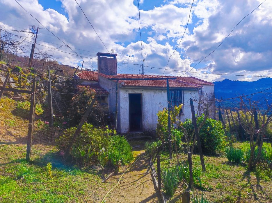 Quinta 7400m2 em Resende com vista para Rio Douro