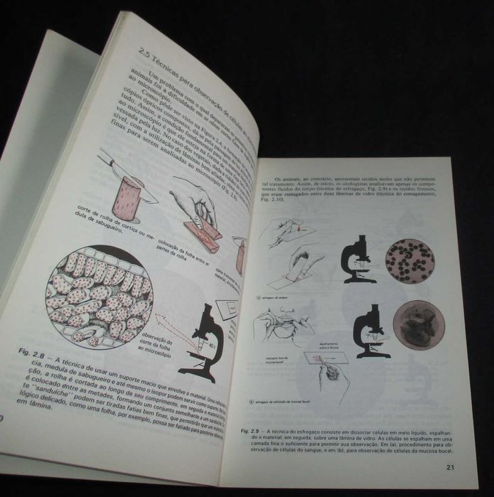 Livro Curso Básico de Biologia Amabis e Martho 3 Volumes