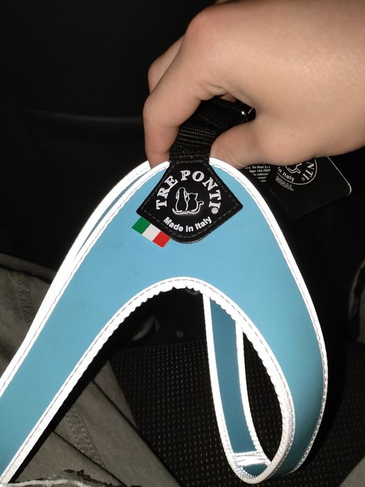 Coleira tre point asul