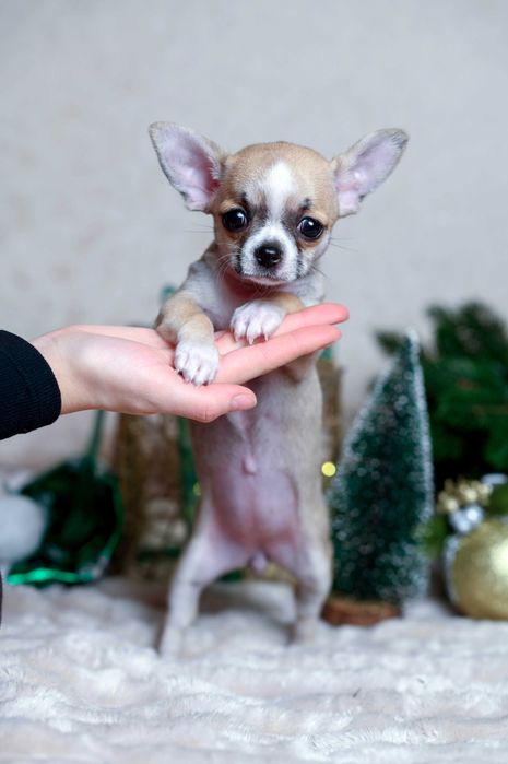 Некоторые встречи меняют жизнь навсегда.