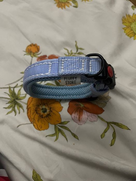 Нашийник для собаки