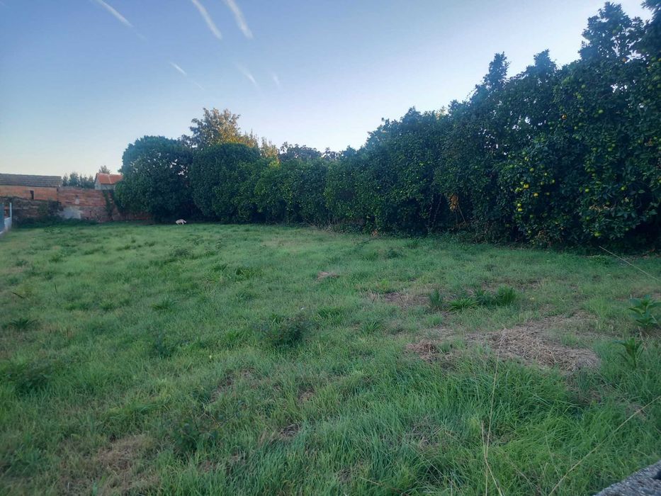 vendo terreno para construção 53 000€ com 626 m2 em Alquerubim, Albergaria-a-Velha