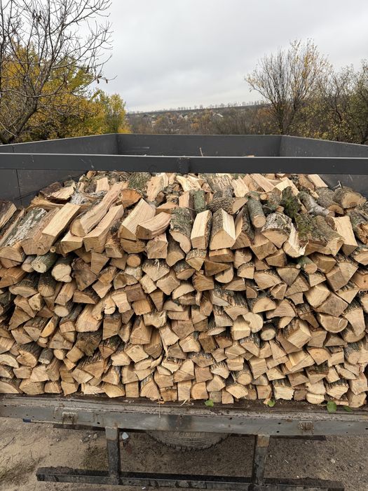 дрова твердых пород дёшево  с документами