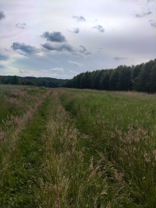 działka rolno  budowlana - Więcej