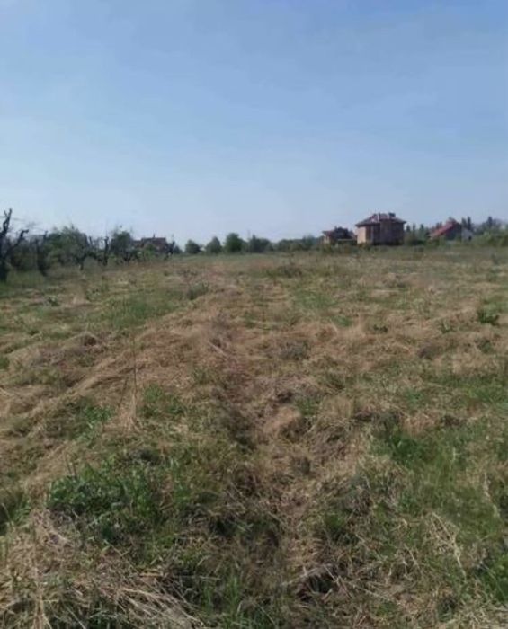 Продам земельну ділянку в с.Личанка Бучанського району 0,25 на вулиці Прорізна
