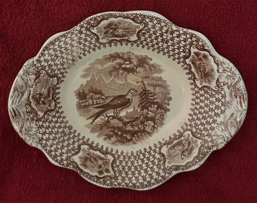 Covilhete ou azeitoneira inglesa séc. XIX