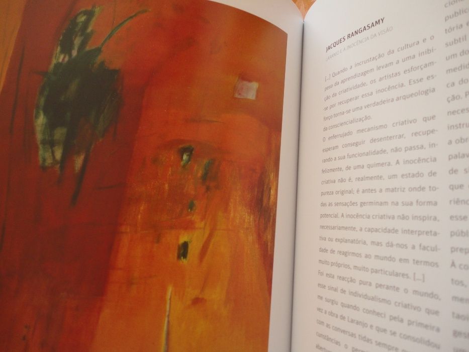 Livro de pintura de Francisco Laranjo (C/portes incluídos)