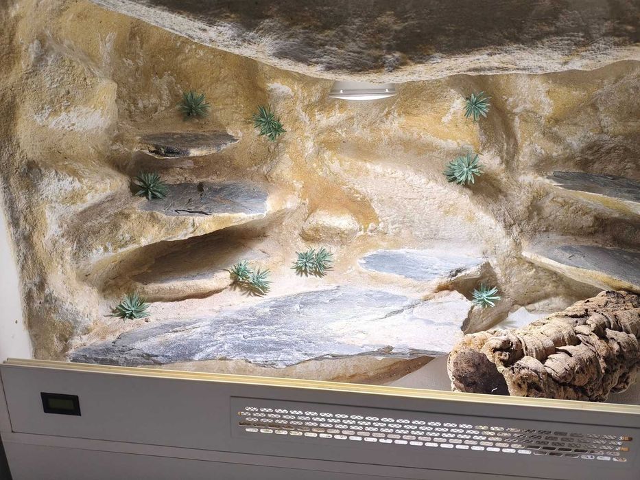 Terrarium naturalne dla agamy, gekona z pełnym wyposażeniem