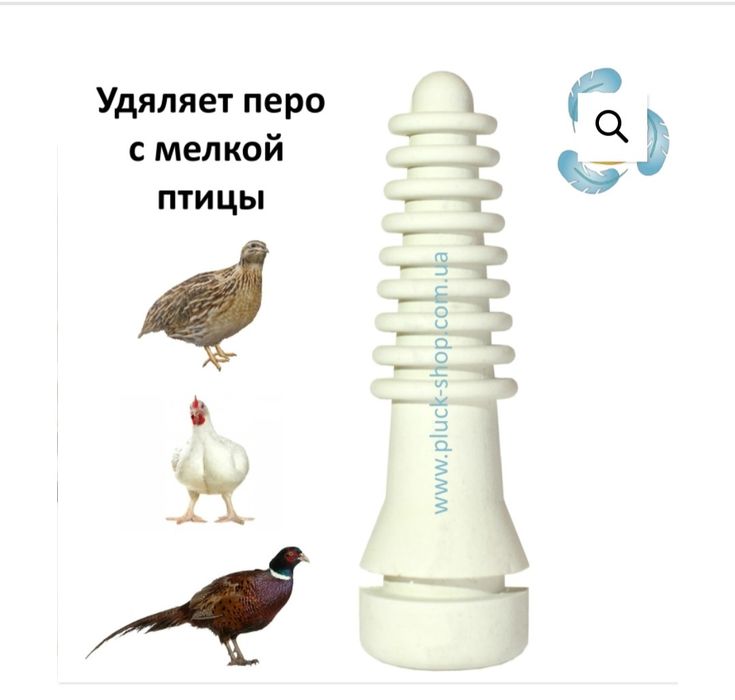 для птиці девайси