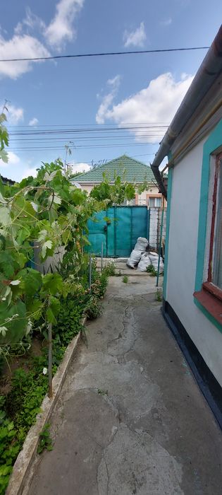 Ліски (ЖДП) за ринком Івушка