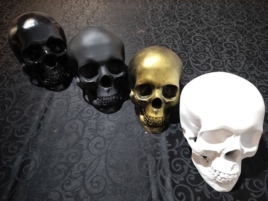 Caveira Decorativa Personalizada