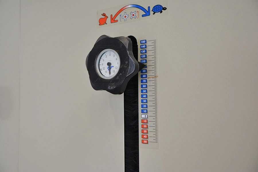 Szczotkarka Quickwood - rotor ze szczotkami