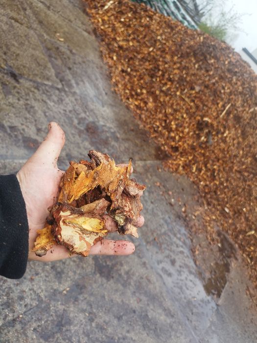 Kora sosnowa worki 80l