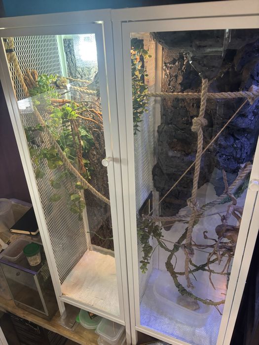Terrarium dla kameleona, gekona, gadów