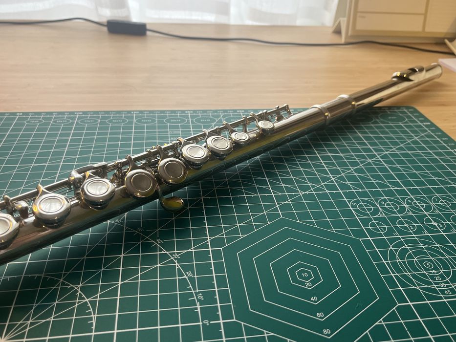 Flet poprzeczny polecam