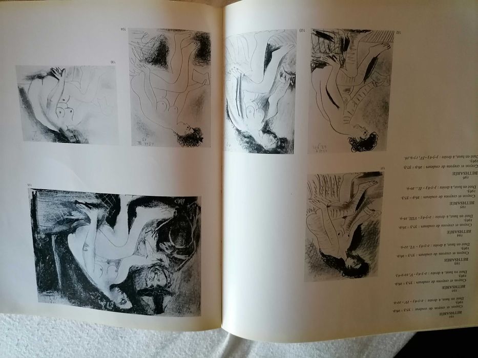 Raro Livro Homenage a PABLO PICASSO France 1966 Desrnas Ilustrações c/ 510 Páginas