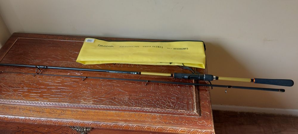 Cana daiwa para eging.