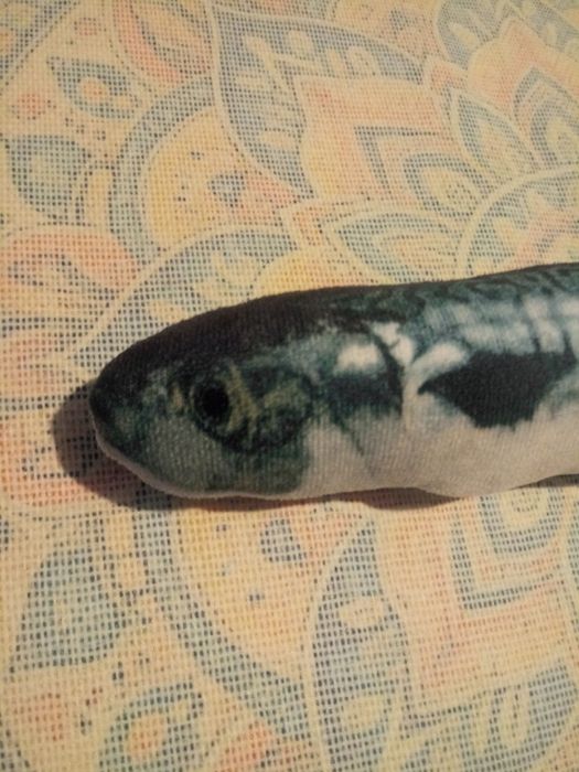 Zabawka dla kota Makrela