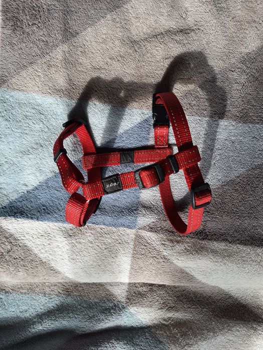 Нейлонова анатомічна шлейка XS-S, S