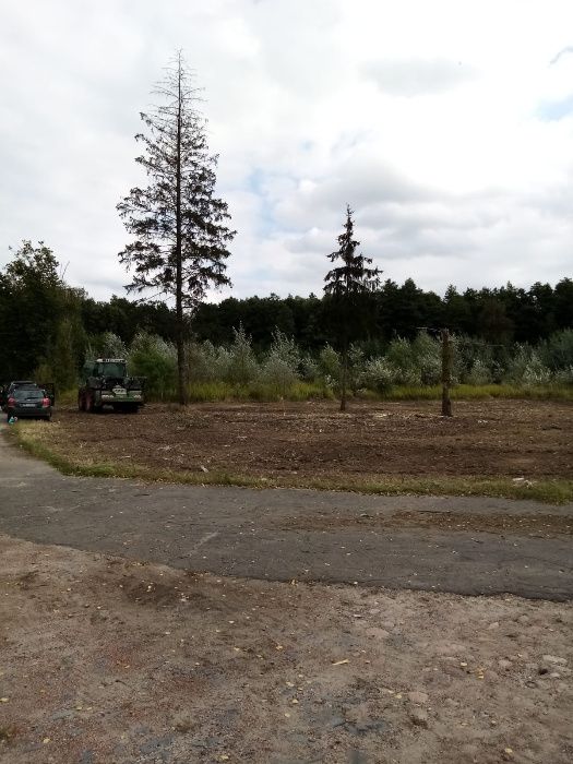 Karczowanie Wycinkadrzew Mulczer Leśny Czyszczenie działek Mulczowanie