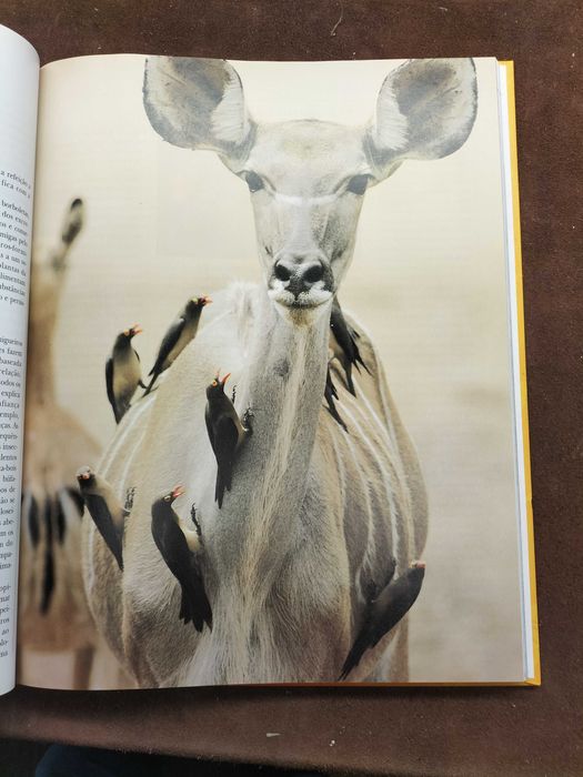 Livro " A Vida Secreta Dos Animais" (CXL1)