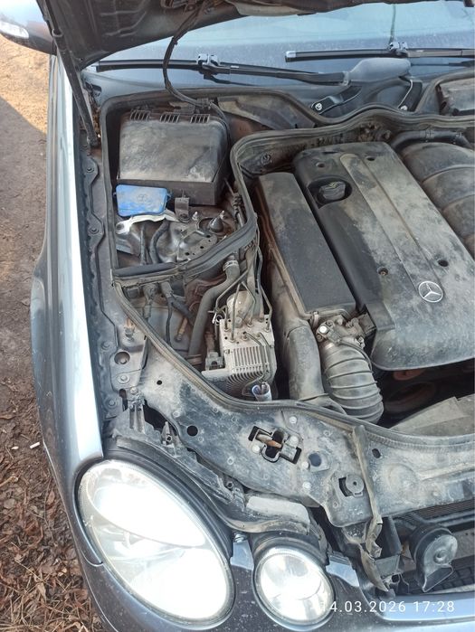 Продам живого W211